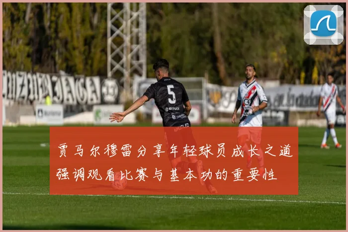 贾马尔穆雷分享年轻球员成长之道强调观看比赛与基本功的重要性